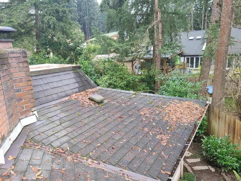 Before cleaning: a moss-covered shingle roof with needles and leaves packed into the gutter on a home in Eugene, Oregon
